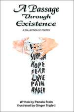 A Passage Through Existence: A Collection Of Poetry