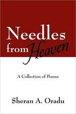 Needles from Heaven: A Collection of Poems