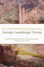 An Illustrated Dictionary of Navajo Landscape Terms