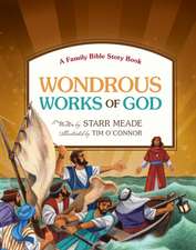 Wondrous Works of God – A Family Bible Story Book