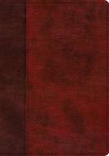 ESV Single Column Journaling Bible, Large Print (TruTone, Burgundy/Red, Timeless Design)