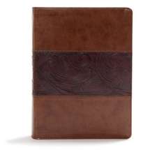 CSB Study Bible, Mahogany Leathertouch