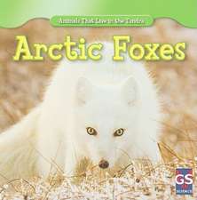 Arctic Foxes