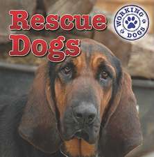 Rescue Dogs