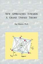 New Approaches Towards a Grand Unified Theory