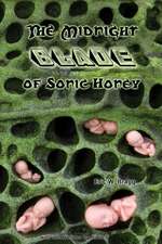 The Midnight Blade of Sonic Honey