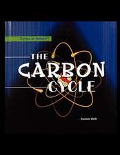 The Carbon Cycle