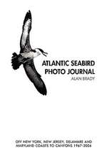 Atlantic Seabird Photo Journal