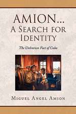 Amion...a Search for Identity