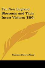 Ten New England Blossoms And Their Insect Visitors (1895)