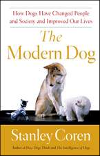 The Modern Dog: How Dogs Have Changed People and Society and Improved Our Lives