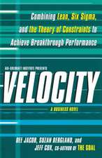 Velocity: A Business Novel