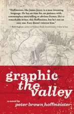 Graphic the Valley