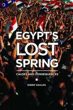 Egypt's Lost Spring: Causes and Consequences