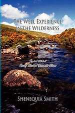 Smith, S: Well Experience in the Wilderness