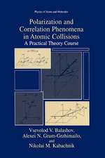 Polarization and Correlation Phenomena in Atomic Collisions: A Practical Theory Course