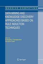 Data Mining and Knowledge Discovery Approaches Based on Rule Induction Techniques