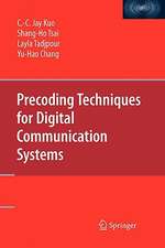 Precoding Techniques for Digital Communication Systems