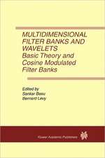 Multidimensional Filter Banks and Wavelets