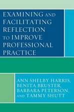 Examining and Facilitating Reflection to Improve Professional Practice