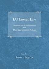 Eu Energy Law: Constraints with the Implementation of the Third Liberalisation Package