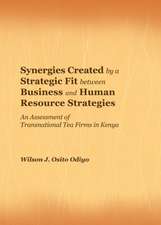 Synergies Created by a Strategic Fit Between Business and Human Resource Strategies: An Assessment of Transnational Tea Firms in Kenya