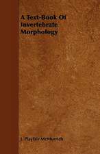 A Text-Book of Invertebrate Morphology