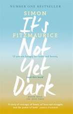 Fitzmaurice, S: It's Not Yet Dark