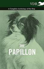 The Papillon - A Complete Anthology of the Dog