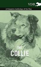 The Collie - A Complete Anthology of the Dog -