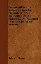 Consumption - Its Nature, Causes And Prevention - With An Outline Of The Principles Of Treatment - For All Classes Of Readers