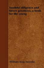 Youthful diligence and future greatness, a book for the young