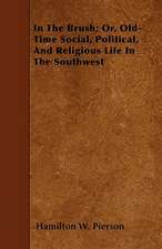 In The Brush; Or, Old-Time Social, Political, And Religious Life In The Southwest