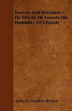 Forests And Moisture - Or Effects Of Forests On Humidity Of Climate