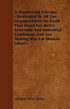 A Slumbering Volcano - Dedicated To All The Organizations On Earth That Stand For Better Economic And Industrial Conditions And Are Making Way For Human Liberty.