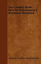 Our Country Home - How We Transformed A Wisconsin Woodland