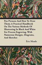 Pen Pictures And How To Draw Them; A Practical Handbook On The Various Methods Of Illustrating In Black And White For Process Engraving. With Numerous Designs, Diagrams, And Sketches