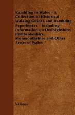 Rambling in Wales - A Collection of Historical Walking Guides and Rambling Experiences - Including Information on Denbighshire, Pembrokeshire, Monmout