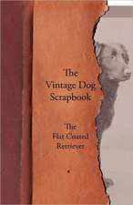 The Vintage Dog Scrapbook - The Flat Coated Retriever