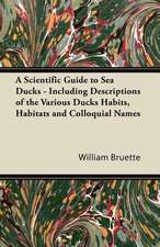 A Scientific Guide to Sea Ducks - Including Descriptions of the Various Ducks Habits, Habitats and Colloquial Names