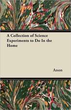 A Collection of Science Experiments to Do In the Home