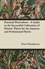 Practical Floriculture - A Guide to the Successful Cultivation of Florists' Plants for the Amateur and Professional Florist