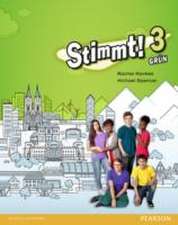 Stimmt! 3 Grun Pupil Book