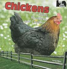 Chickens: Hens, Roosters, and Chicks