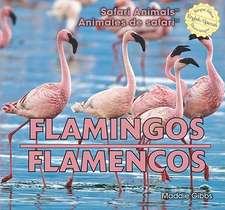 Flamingos/Flamencos