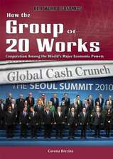 How the Group of 20 Works: Cooperation Among the World's Major Economic Powers