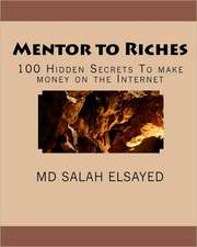 Mentor to Riches: 100 Hidden Secrets to Make Money on the Internet