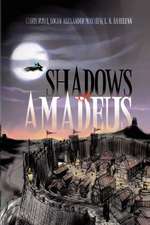 Lsi: Shadows of Amadeus