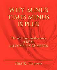 Why Minus Times Minus Is Plus