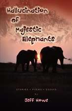 Hallucination of Majestic Elephants